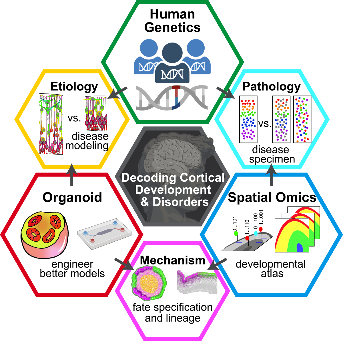 Research direction of the Qian Lab